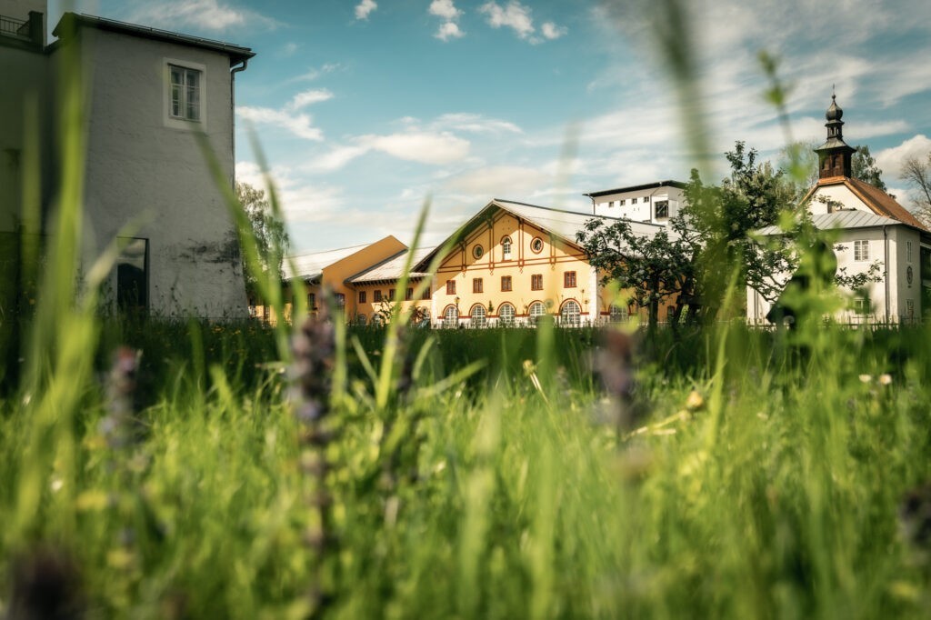 Blick Richtung Alter Saline in Hallein von Garten Keltenmuseum im Frühling